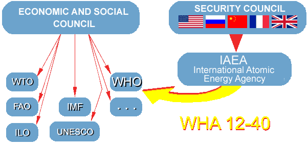 Structure and Division within the UN