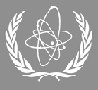 IAEA�s logo