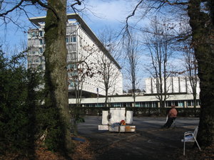 Sophie Morel in front of WHO from 26th to 30th January 2009