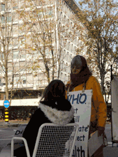 Alison Katz und Lamamo vor der WHO vom 11. - 15. Oktober 2010