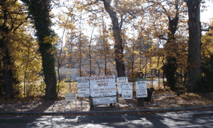 Françoise Bouvier in front of WHO, 4th November 2010